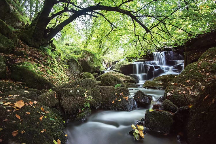 Bretagne Waterfall In Huelgoat