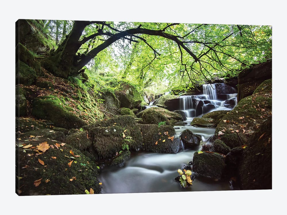 Bretagne Waterfall In Huelgoat by Philippe Manguin 1-piece Canvas Print