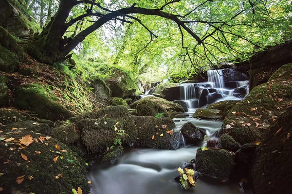 Brittany: Bretagne Waterfall In Huelgoat by Philippe Manguin