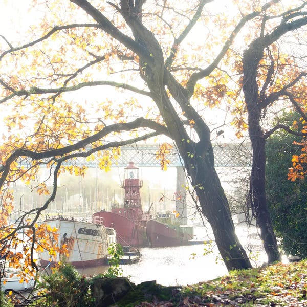 Trees: Scarweather Fire Boat In Douarnenez by Philippe Manguin