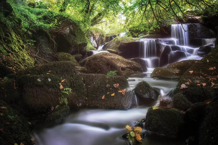 Waterfall In France, Brittany Forest