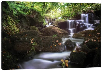 Waterfall In France, Brittany Forest Canvas Art Print - Philippe Manguin