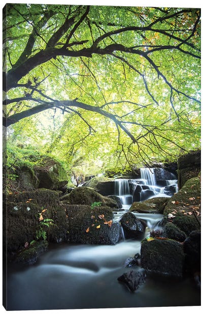 Forest Waterfall In Brittany Canvas Art Print - Philippe Manguin