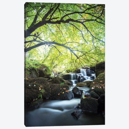 Forest Waterfall In Brittany Canvas Print #PHM360} by Philippe Manguin Canvas Print