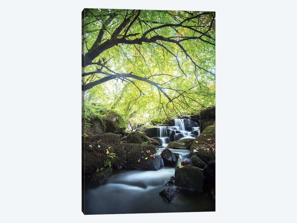 Forest Waterfall In Brittany by Philippe Manguin 1-piece Art Print