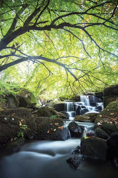 Brittany: Forest Waterfall In Brittany by Philippe Manguin