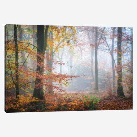 Forest Fall Canvas Print #PHM369} by Philippe Manguin Canvas Print