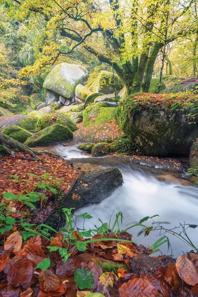 Brittany: Foret De Huelgoat En Bretagne by Philippe Manguin