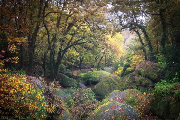 Brittany: Le Chaos En Foret De Huelgoat, Bretagne by Philippe Manguin