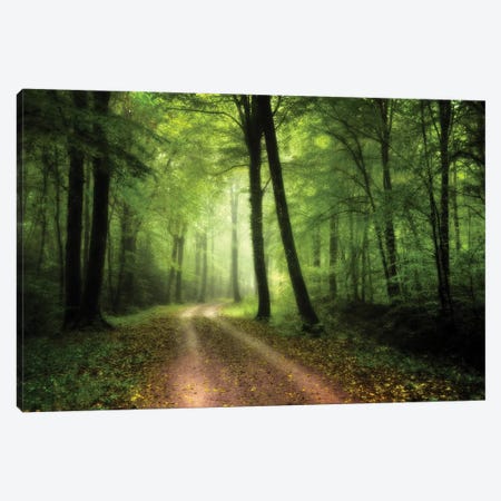A Walk In The Fresh Green Forest Canvas Print #PHM3} by Philippe Manguin Art Print