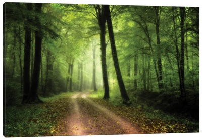 A Walk In The Fresh Green Forest Canvas Art Print - Philippe Manguin
