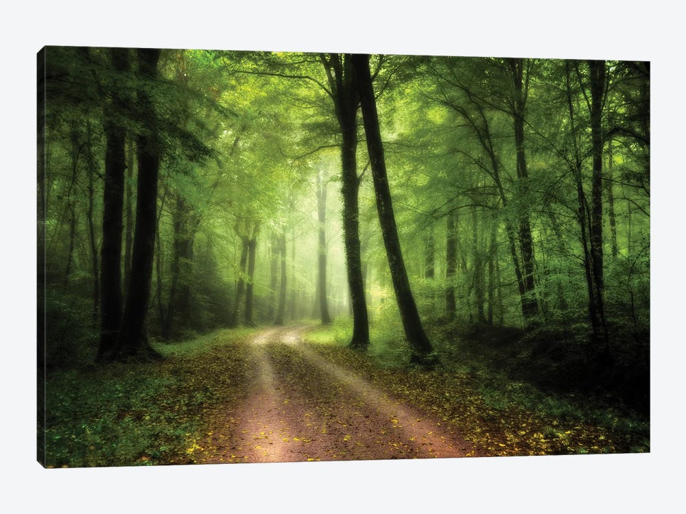 A Walk In The Fresh Green Forest by Philippe Manguin 1-piece Canvas Wall Art