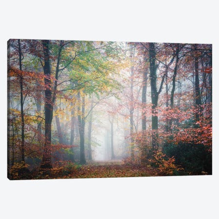 Colored Forest Canvas Print #PHM409} by Philippe Manguin Canvas Art