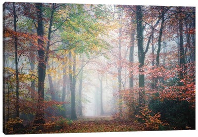Colored Forest Canvas Art Print