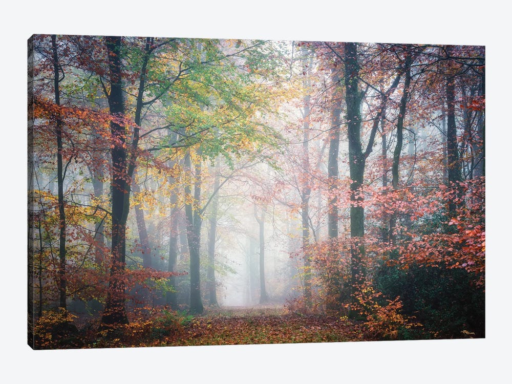 Colored Forest by Philippe Manguin 1-piece Canvas Print