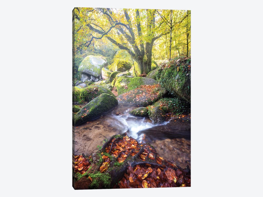 Huelgoat Magic Forest by Philippe Manguin 1-piece Canvas Art