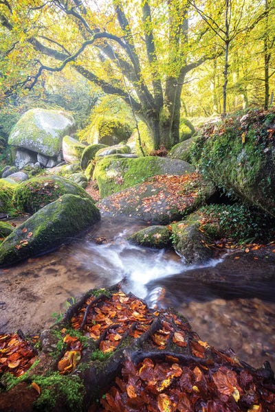 Huelgoat Magic Forest