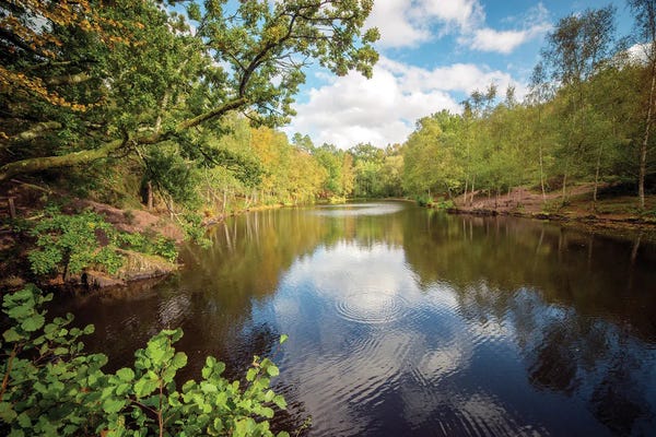 Wisconsin: Fairies Mirror Lake by Philippe Manguin