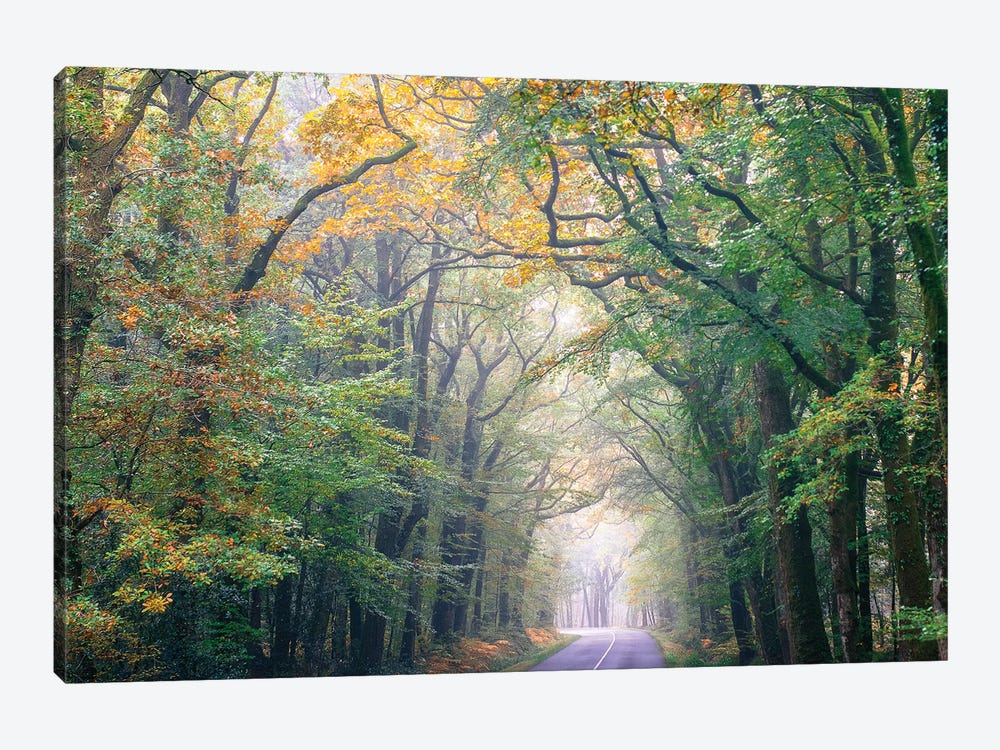 Crossing The Forest by Philippe Manguin 1-piece Canvas Print