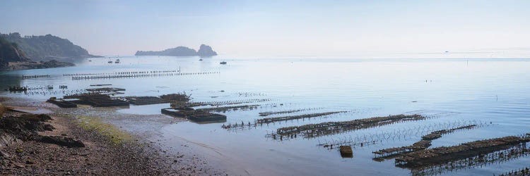 Cancale Oyster Parks