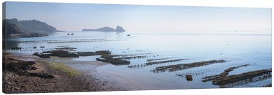 Cancale Oyster Parks Canvas Art Print - Philippe Manguin