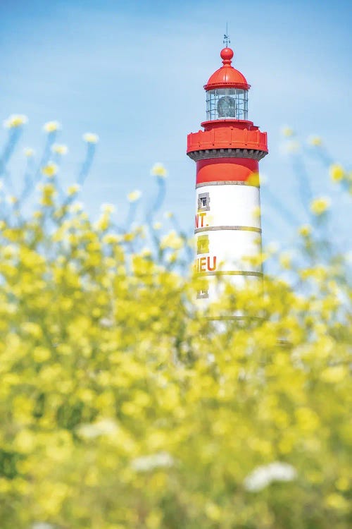 Saint Mathieu Lighthouse Portrait