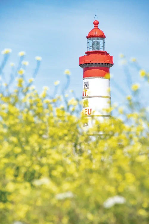 Saint Mathieu Lighthouse Portrait by Philippe Manguin wall art