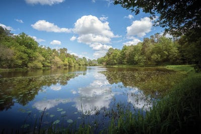 The Lake by Philippe Manguin canvas print