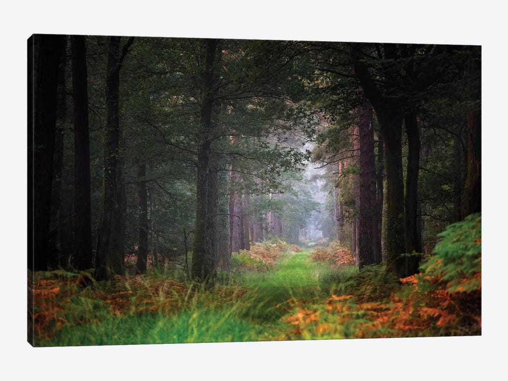 Entering The Forest by Philippe Manguin 1-piece Canvas Wall Art
