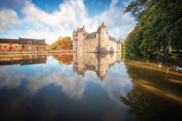 Castles & Palaces: The Old Medieval Castle by Philippe Manguin