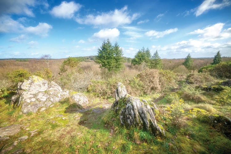 Broceliande Valley Of The Doors