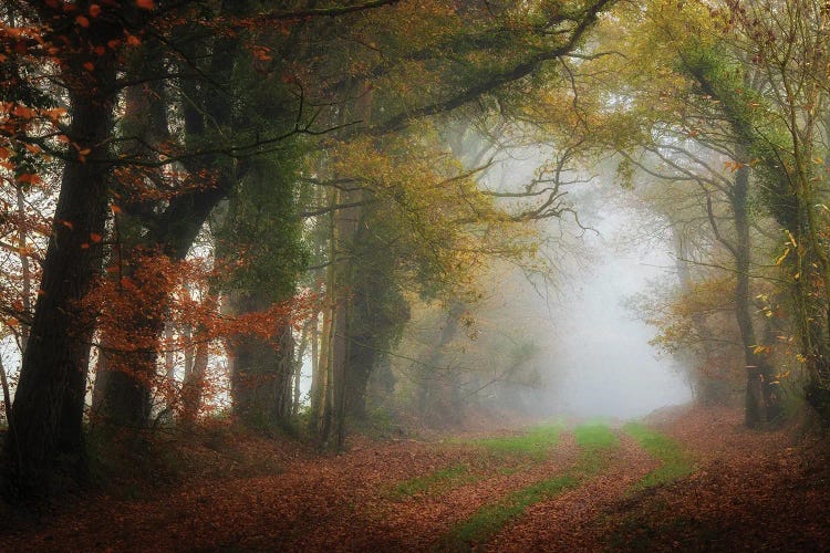 The Foggy Day by Philippe Manguin wall art