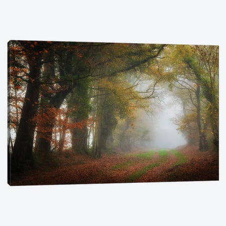 The Foggy Day Canvas Print #PHM481} by Philippe Manguin Canvas Art