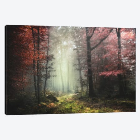 Dream Forest Canvas Print #PHM57} by Philippe Manguin Canvas Print