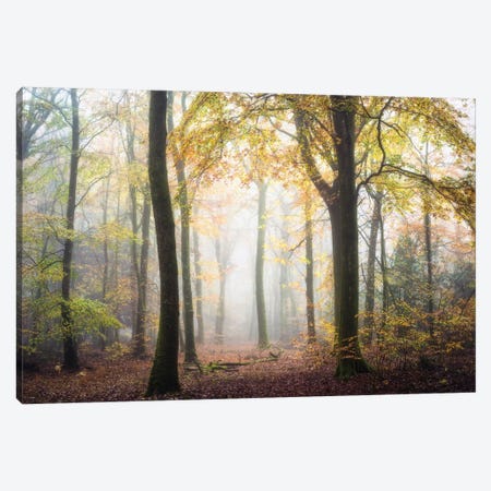Fall Mood Canvas Print #PHM74} by Philippe Manguin Canvas Print
