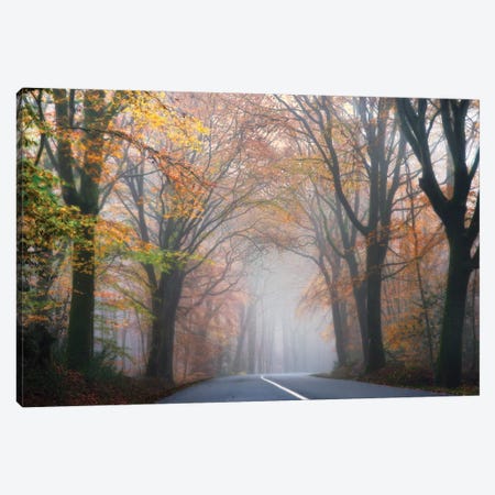 Forest Mood By The Road Canvas Print #PHM79} by Philippe Manguin Canvas Artwork