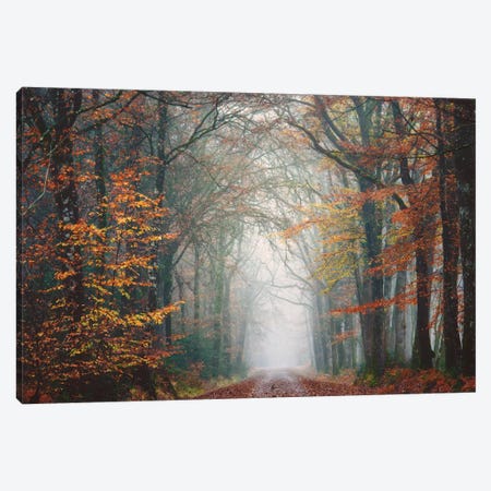 Forest Walk At Fall Canvas Print #PHM81} by Philippe Manguin Canvas Print