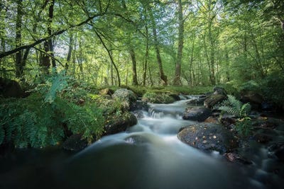 Fresh River I by Philippe Manguin canvas print