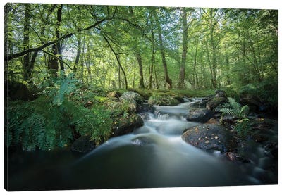 Fresh River I Canvas Art Print - Zen Master
