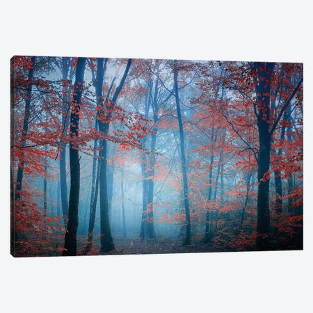 Deep Forest Canvas Print by Philippe Manguin | iCanvas
