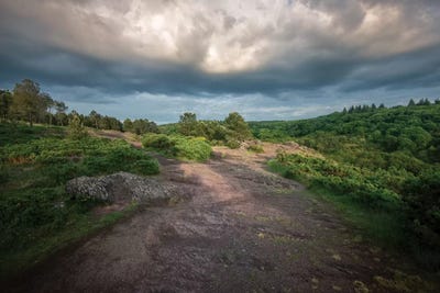 Au Dessus Du Val Sans Retour by Philippe Manguin art print