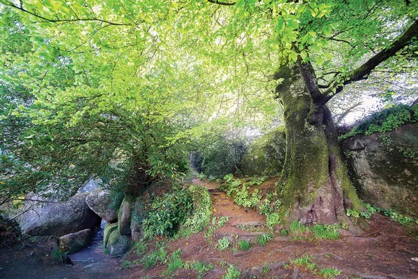 Brittany: Huelgoat Entrance by Philippe Manguin