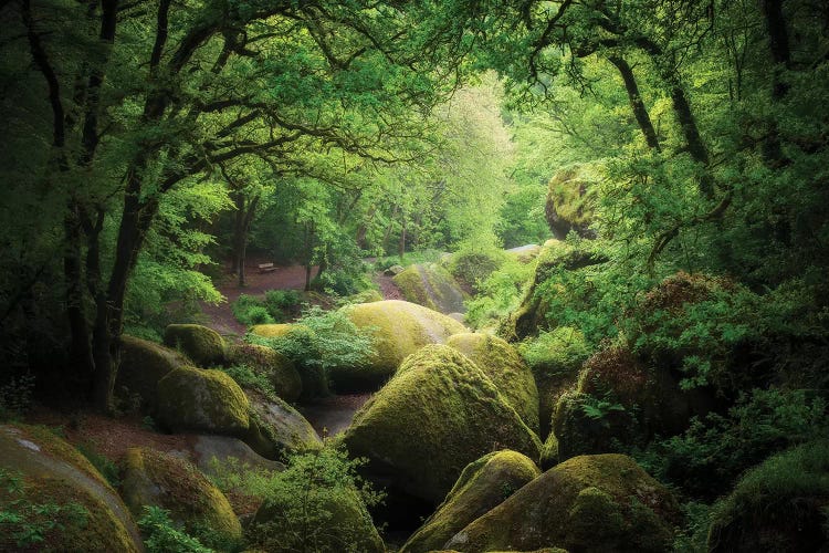 Huelgoat Forest by Philippe Manguin wall art