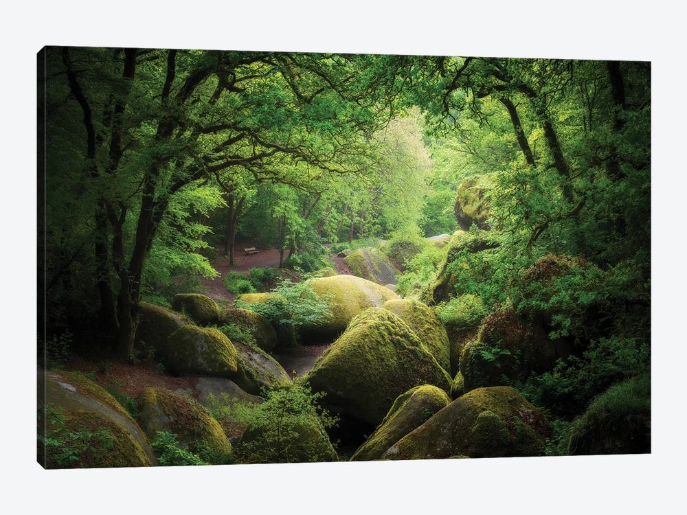 Huelgoat Forest by Philippe Manguin 1-piece Canvas Art