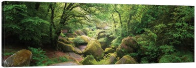 Huelgoat Forest Bretagne Panoramic Canvas Art Print