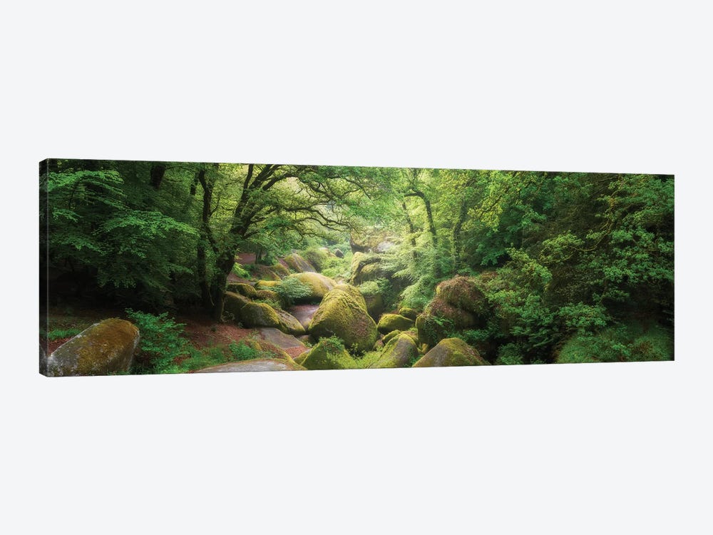 Huelgoat Forest Bretagne Panoramic by Philippe Manguin 1-piece Canvas Artwork