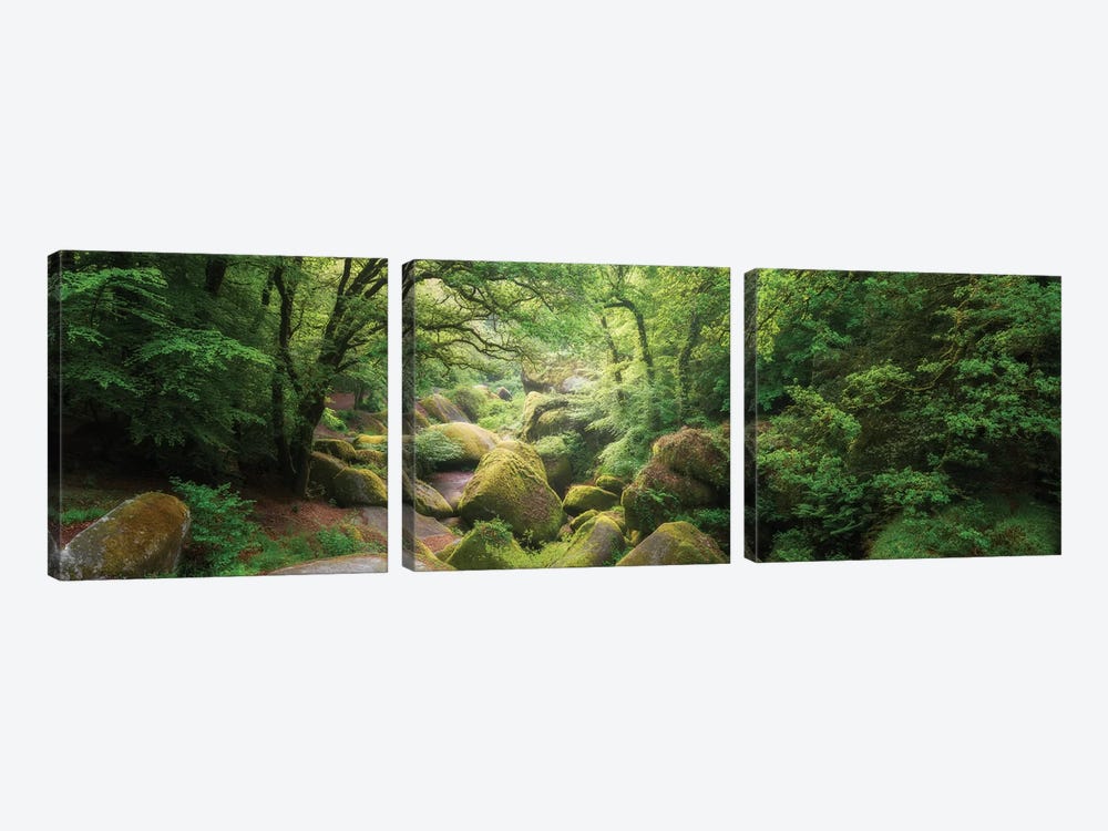 Huelgoat Forest Bretagne Panoramic by Philippe Manguin 3-piece Canvas Artwork
