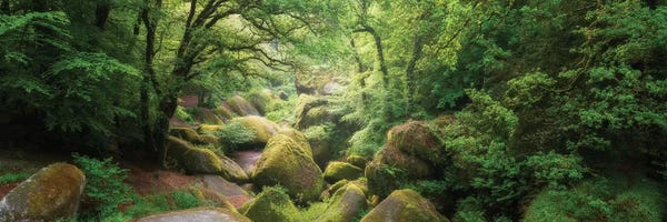 Photography: Huelgoat Forest Bretagne Panoramic by Philippe Manguin