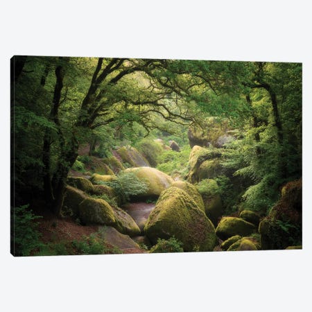 Huelgoat Forest In Brittany Canvas Print #PHM96} by Philippe Manguin Art Print