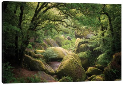 Huelgoat Forest In Brittany Canvas Art Print - Philippe Manguin